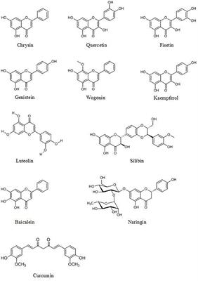 Modulation of Multiple Signaling Pathways of the Plant-Derived Natural Products in Cancer